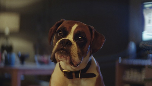 Alerts on UK Xmas Ads: Bouncing High