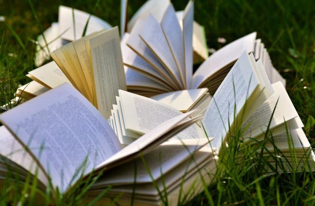 Desert Island Reads