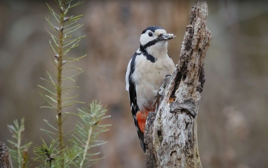 December’s Best And Worst New Ads December’s Best And Worst New Ads