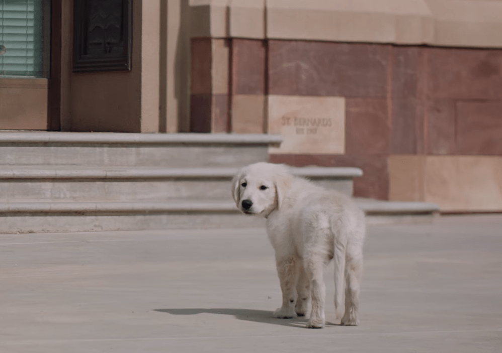 August Highlights: 10 Of The Best And Worst New Ads