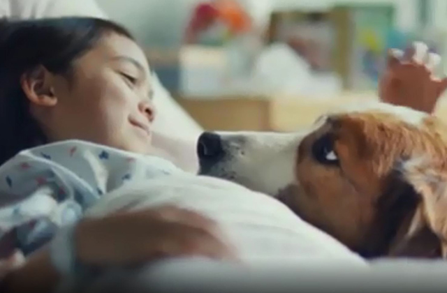 The Best And Worst January Ads The Best And Worst January Ads