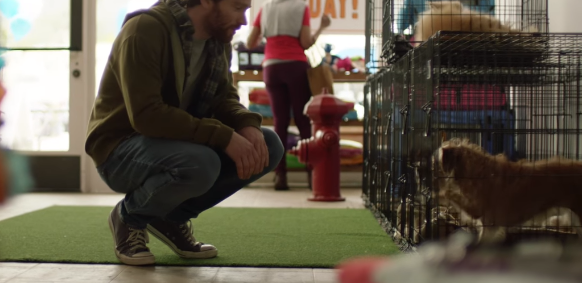FeelMore50 2017: Humor Wins Big for American Brands
