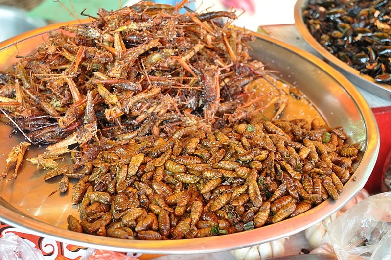 Why We Sent Clients Roast Crickets For Christmas Why We Sent Clients Roast Crickets For Christmas