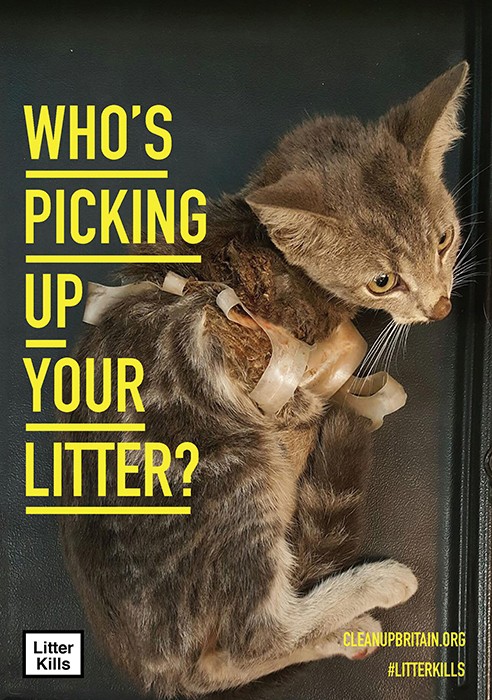 Who's Picking Up Your Litter? Litter Kills Campaign
