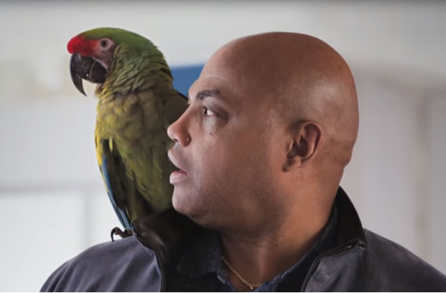 Ad Ratings Roundup - March's Best And Worst New Ads Ad Ratings Roundup - March's Best And Worst New Ads