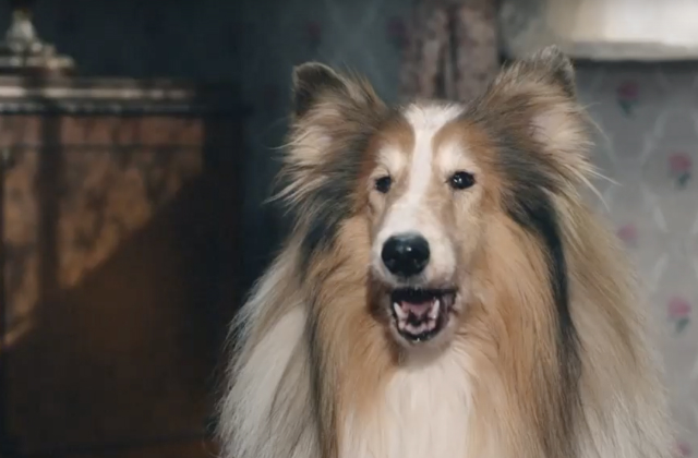 Ad Ratings Round Up: June 2019 Ad Ratings Round Up: June 2019