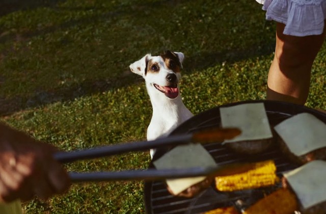 Heinz Brings the Summer Vibes