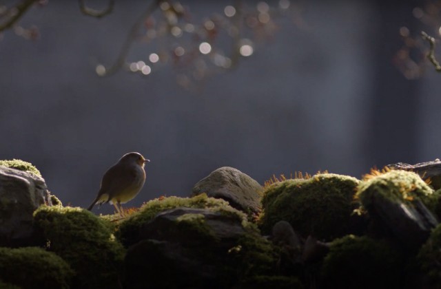 The National Trust Gets Out of the Box and into Nature