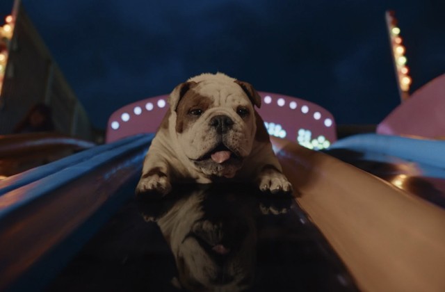 The Bulldog of Brand Building