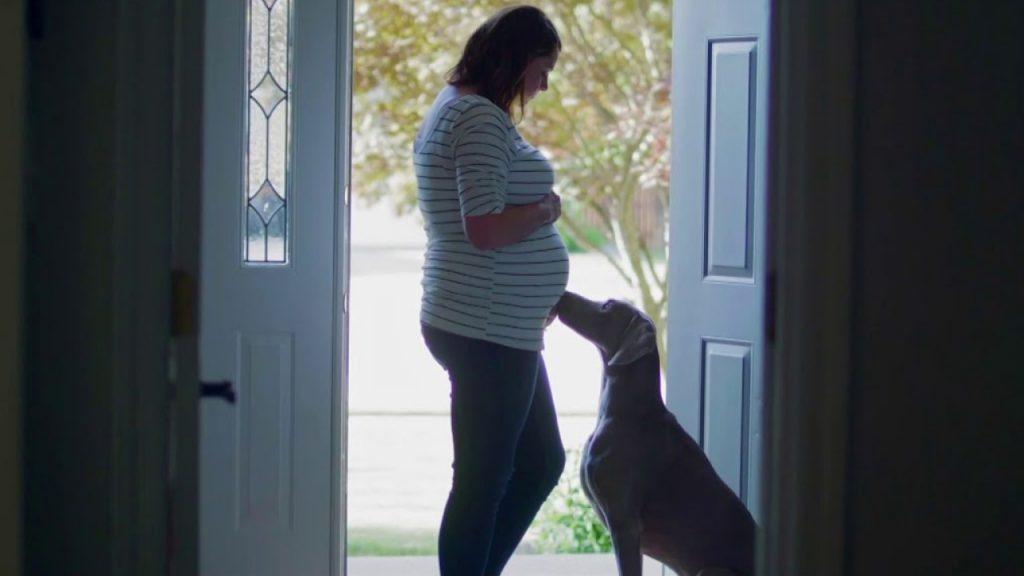 A Love Letter To Dogs