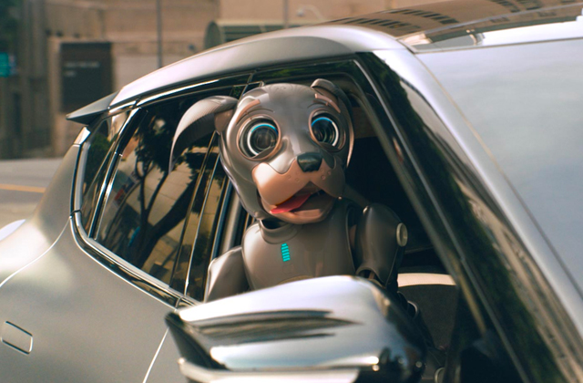 CSR in Advertising: How Brands are Showcasing Sustainability
