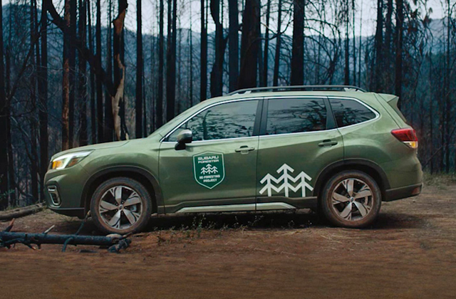 CSR in Advertising: How Brands are Showcasing Sustainability