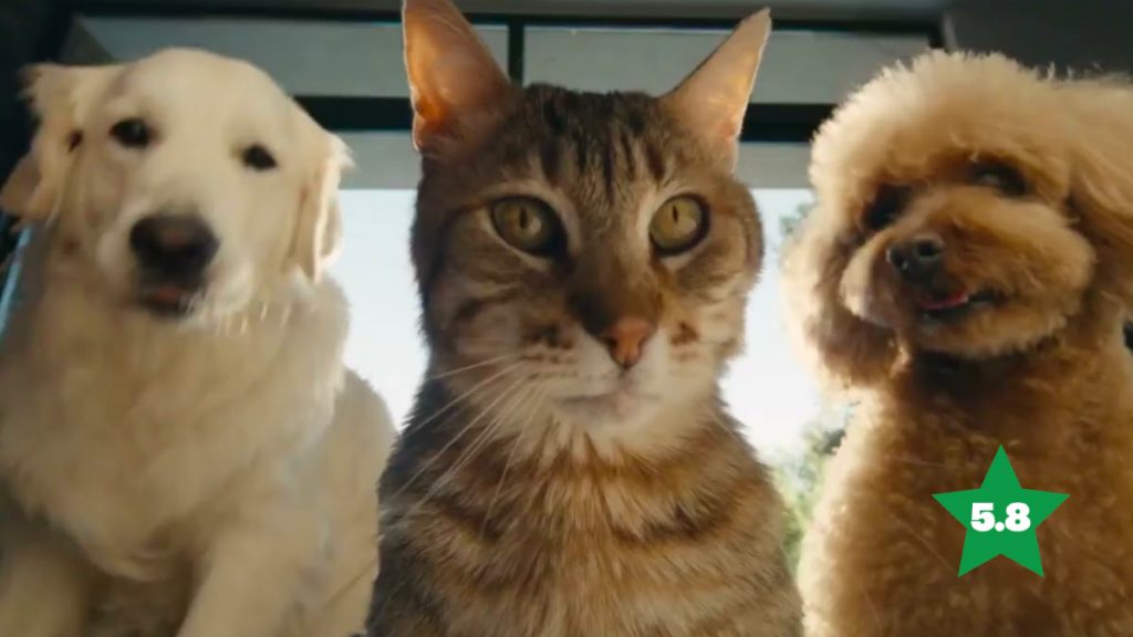 Samsung’s Pet Selfies Get A Purr-Fect Score
