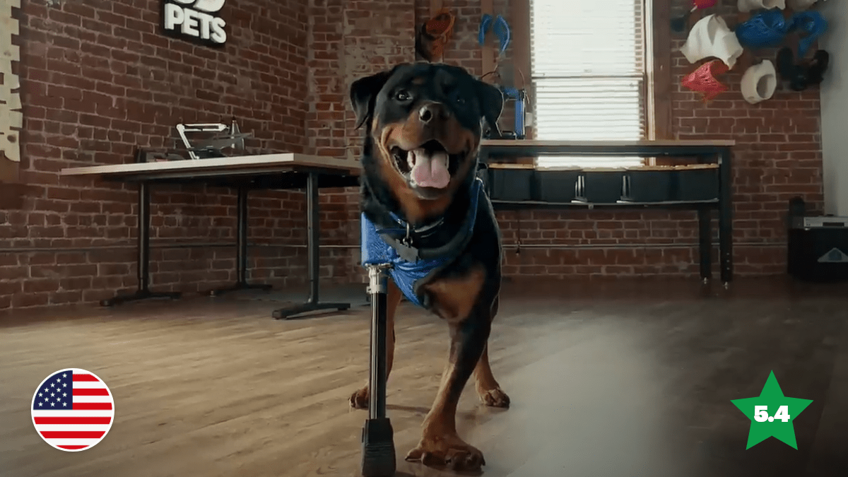 Apple Let the Dogs Out in a Top-scoring Ad