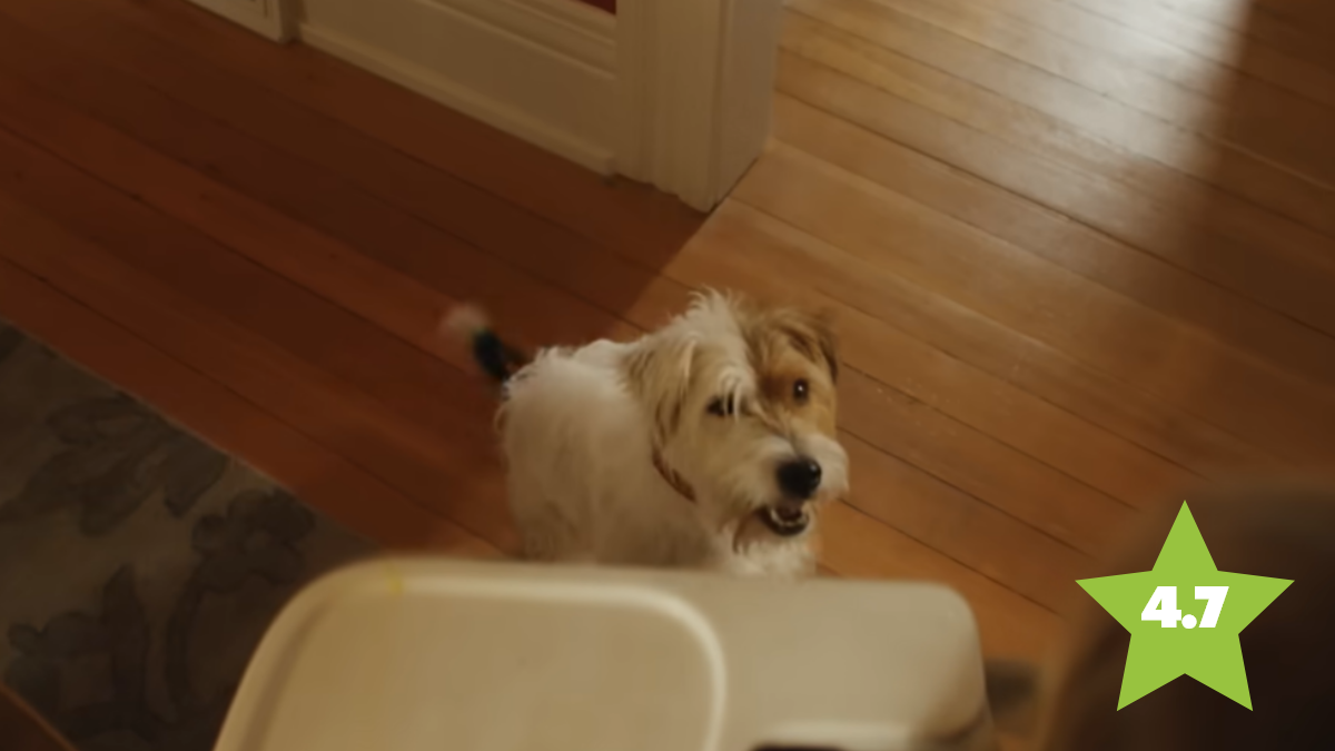 Nation's Favorite Ads US 2023