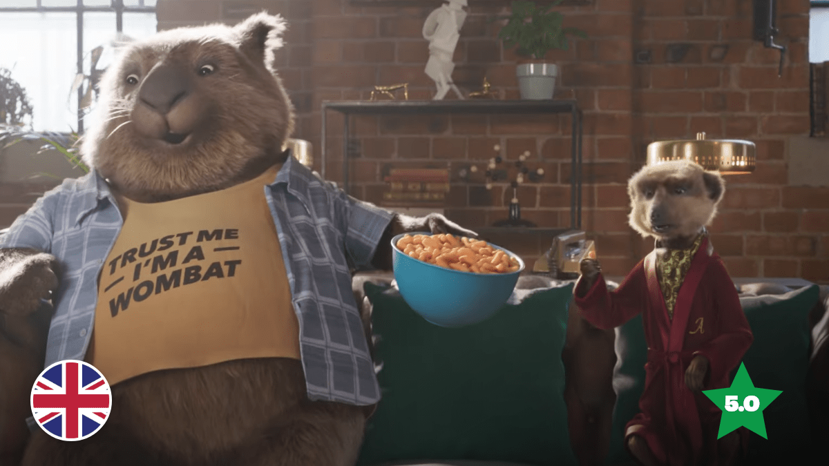 5-star Wombat Shows Meerkat Risk Paid Off
