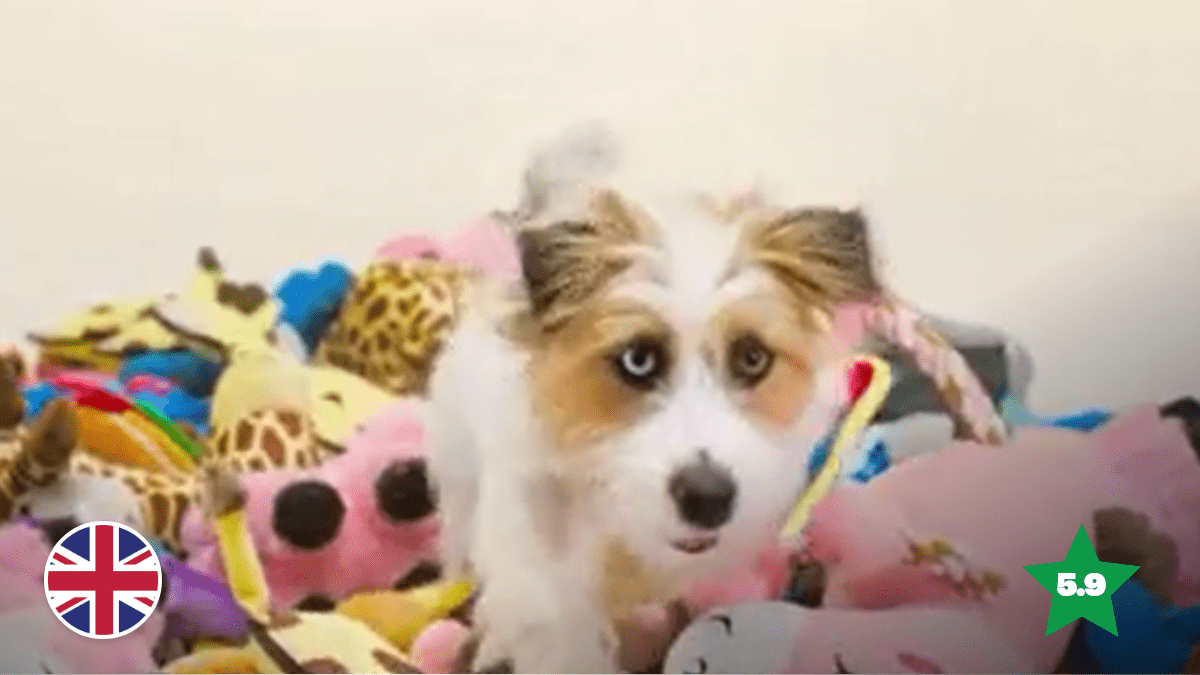 Reigning Cats and Dogs: Pets at Home Get a Maximum Score