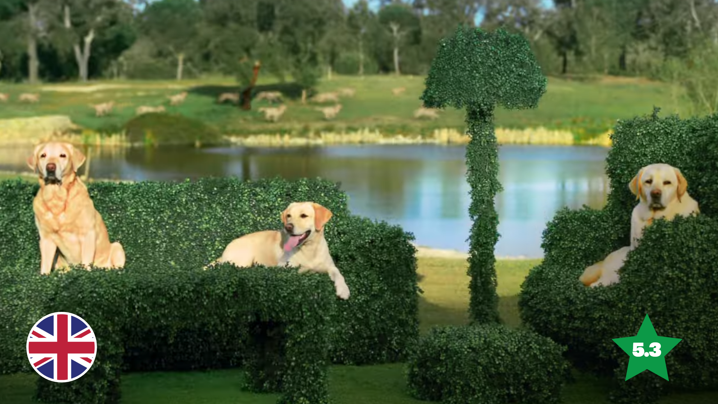 Tails.com Makes Dog Food Spectacular and Surreal