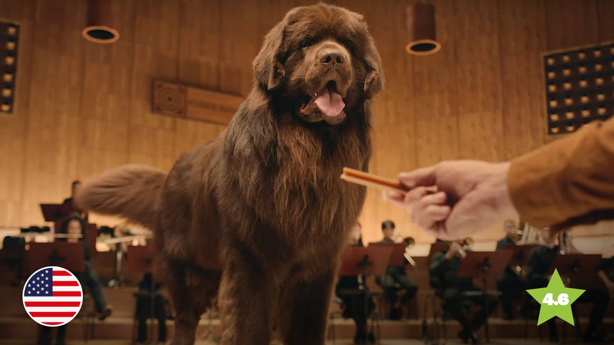 Canine Conductors Get Tails Wagging for Pedigree