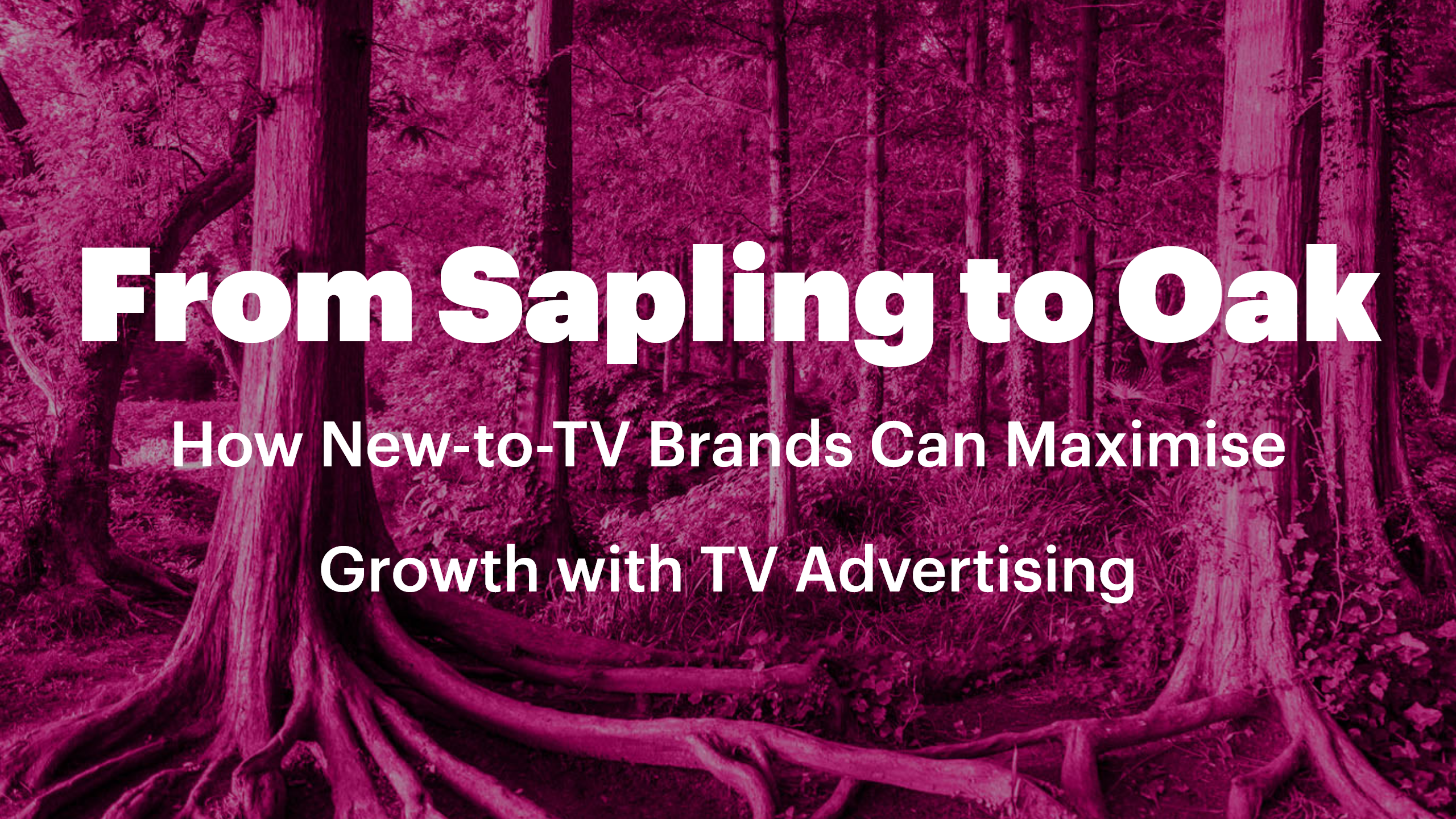 From Sapling to Oak: How New-to-TV Brands Can Maximise Growth with TV Advertising