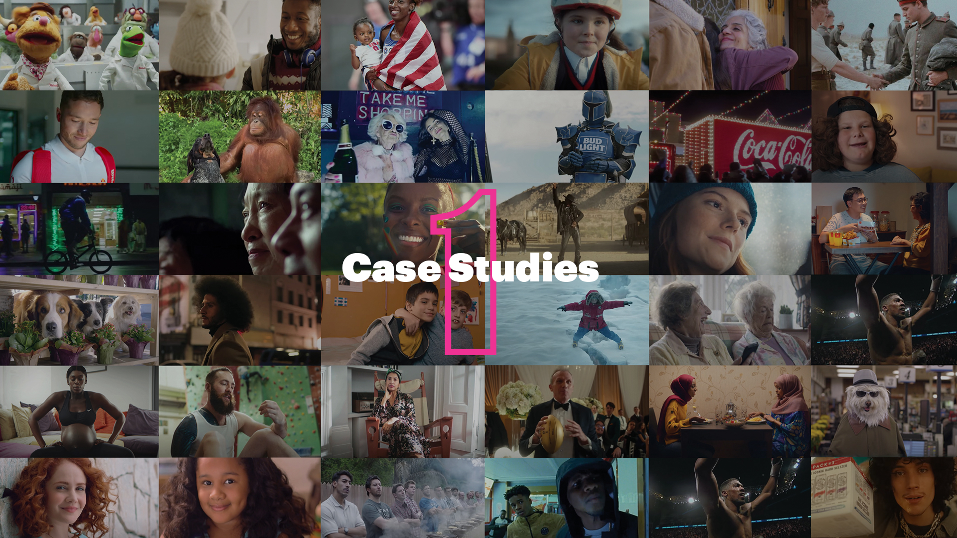 Case Studies