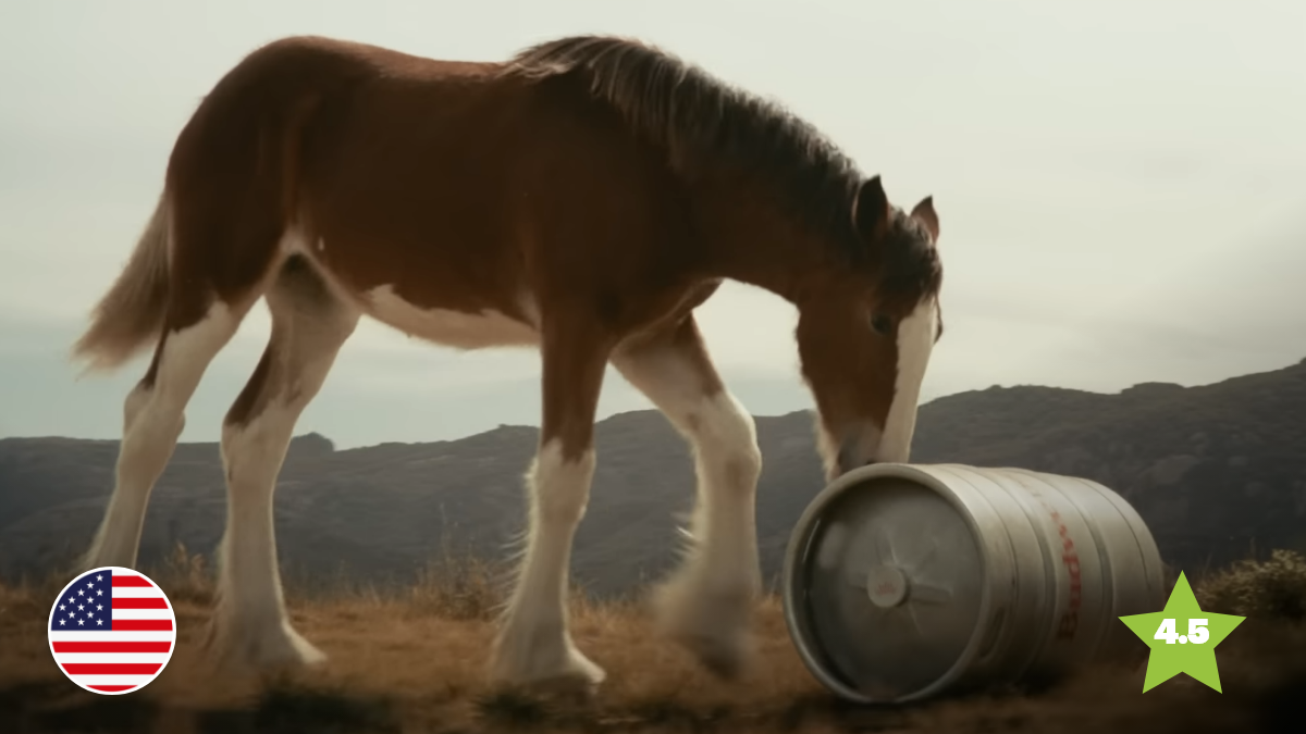 Budweiser Delivers a Super Bowl Winner
