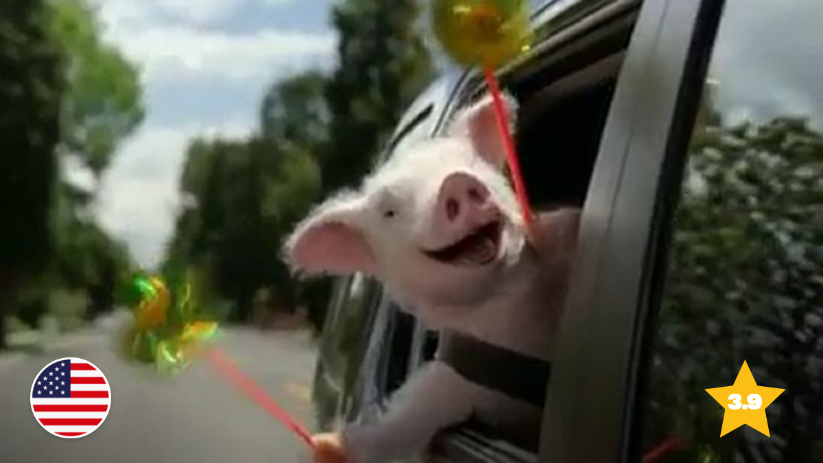 Maxwell the Pig is GEICO’s Comeback King