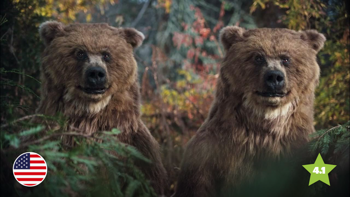 Does Creativity Matter? Do Bears Twix in the Woods?