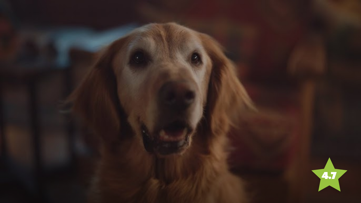 Festive Ad Tracker 2025