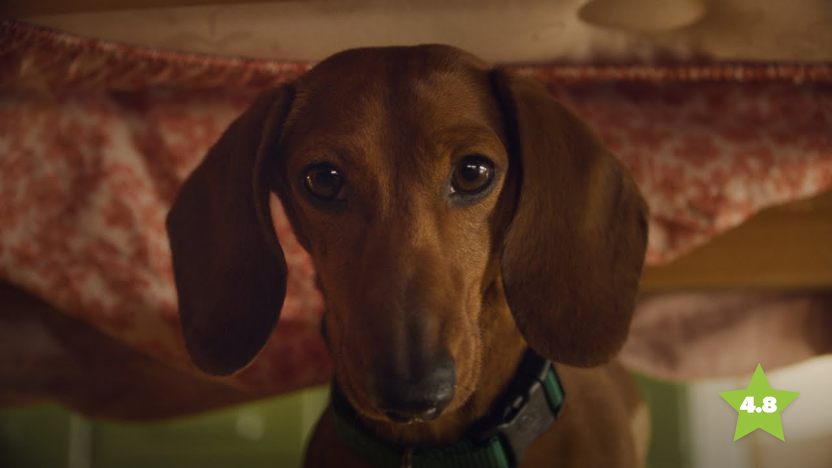 Festive Ad Tracker 2025