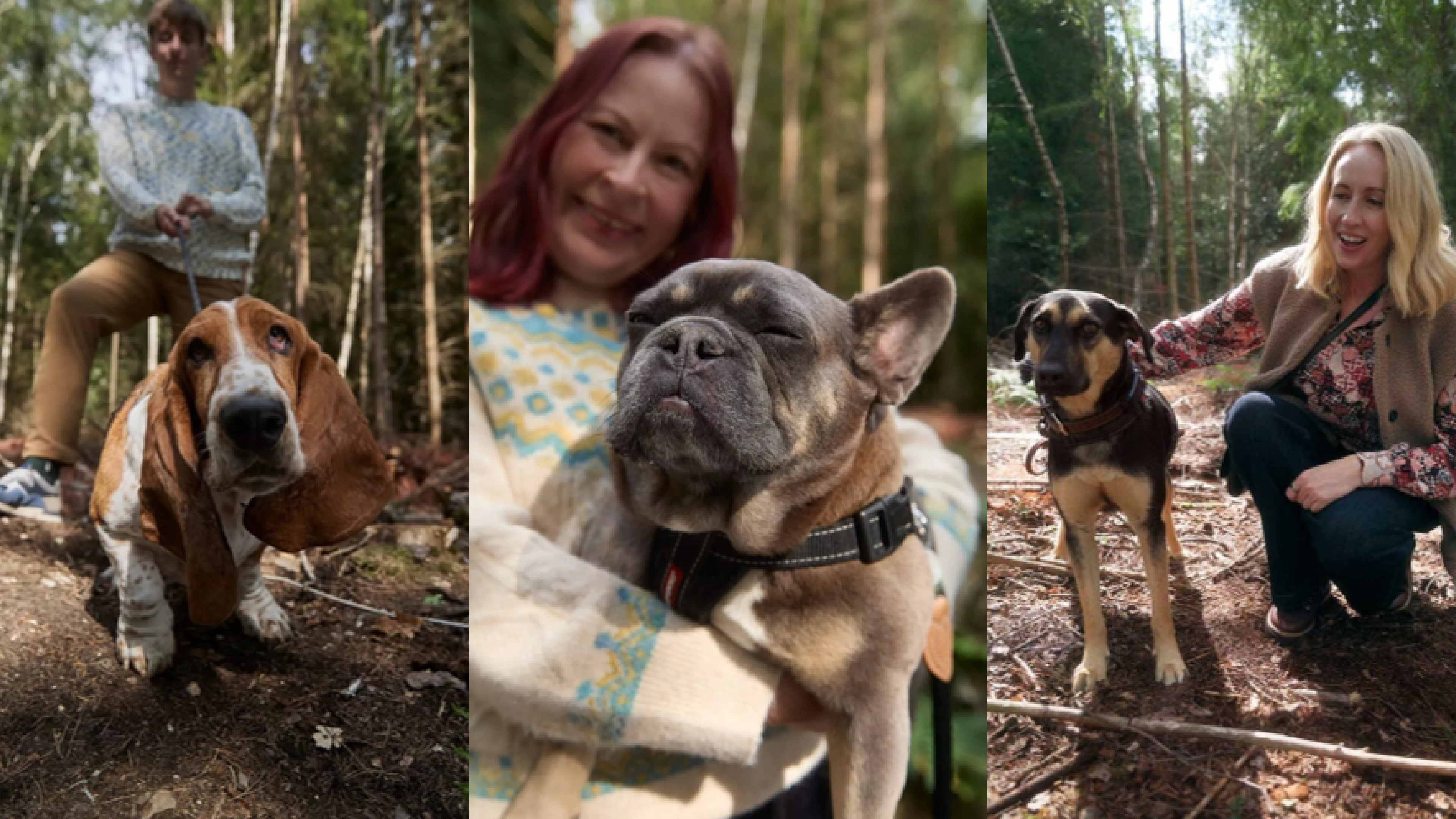 Why White Stuff Went Off-Leash This Winter