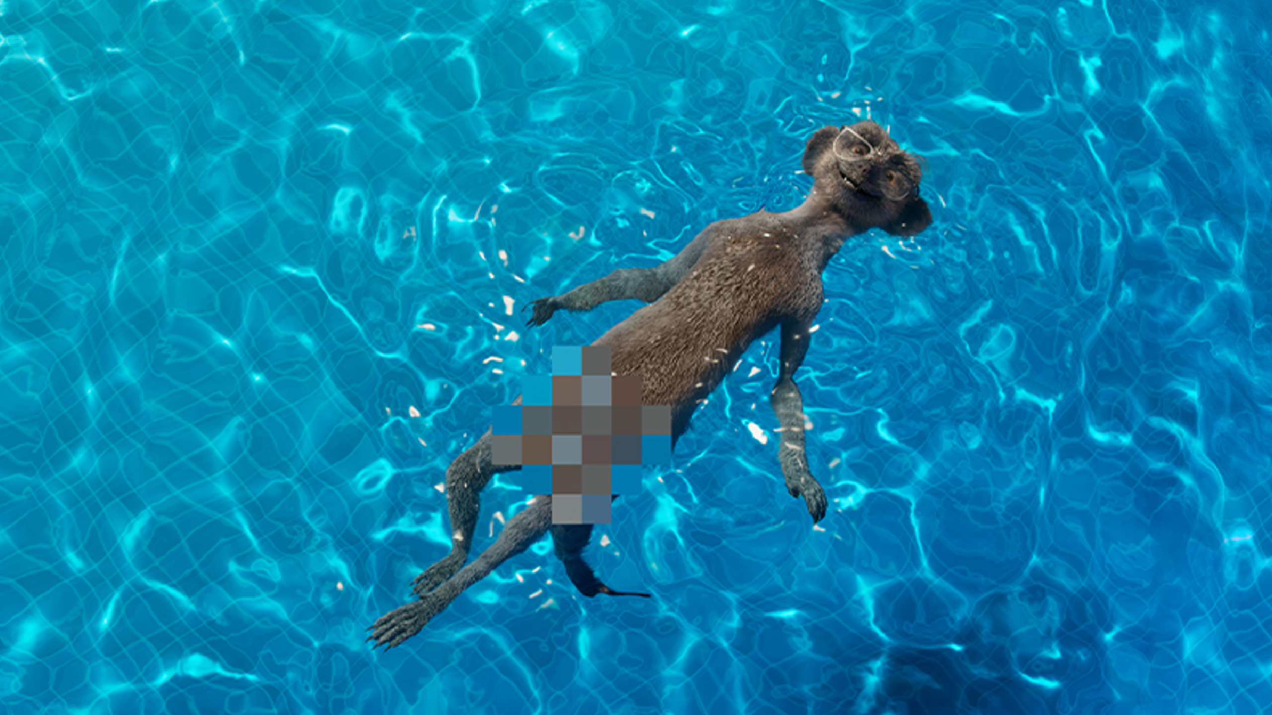 Entertainment Made Simples: Consistency, Pre-Testing & Proven Effectiveness