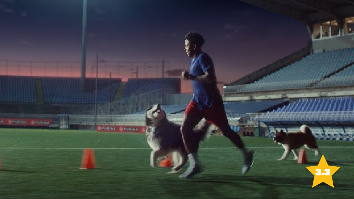 The Best of the World Cup 2026