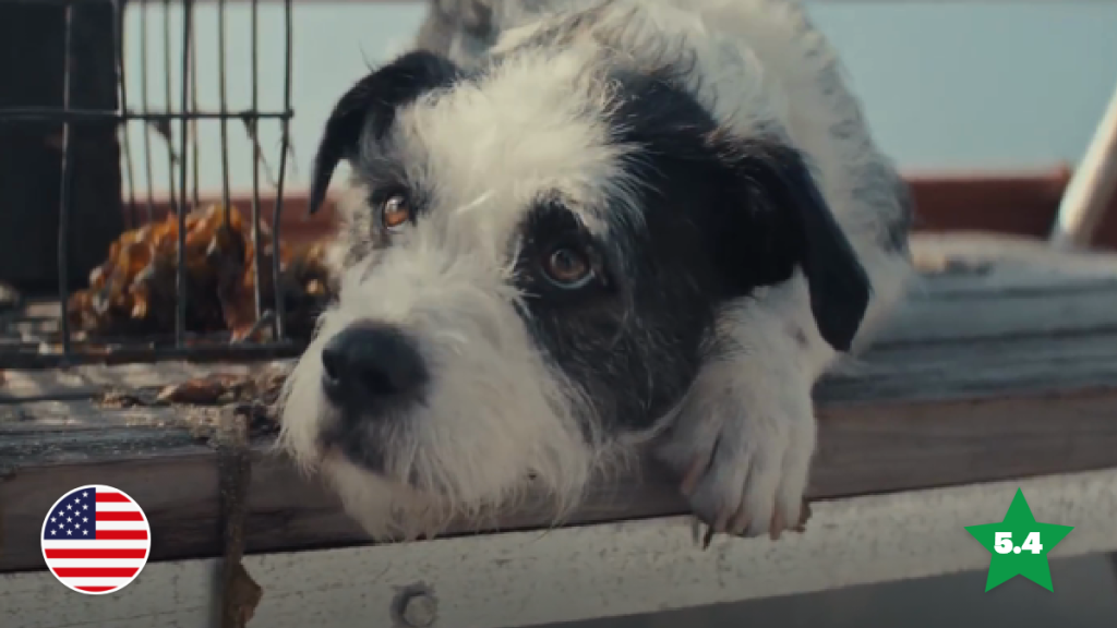 An Ad for Everybody From the Farmer’s Dog